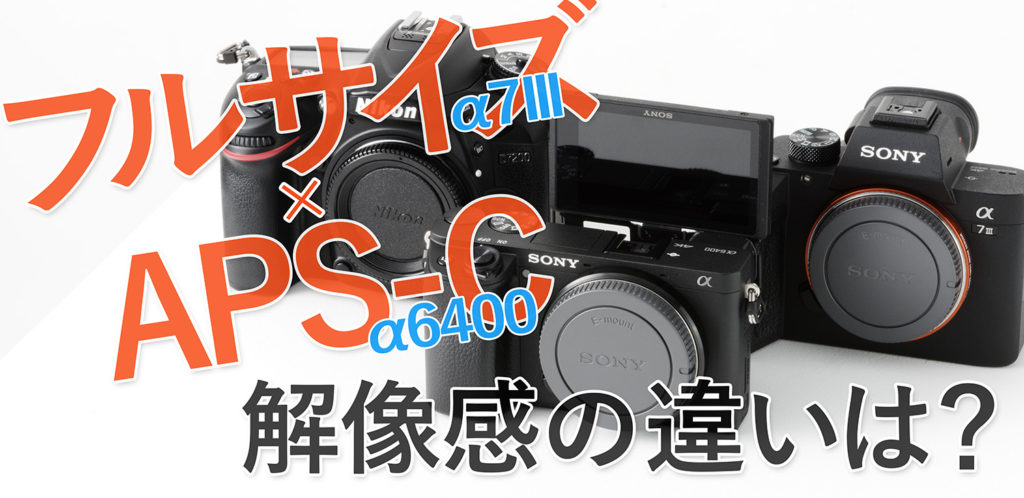 フルサイズとAPS-C解像感の違いは？α7III×α6400